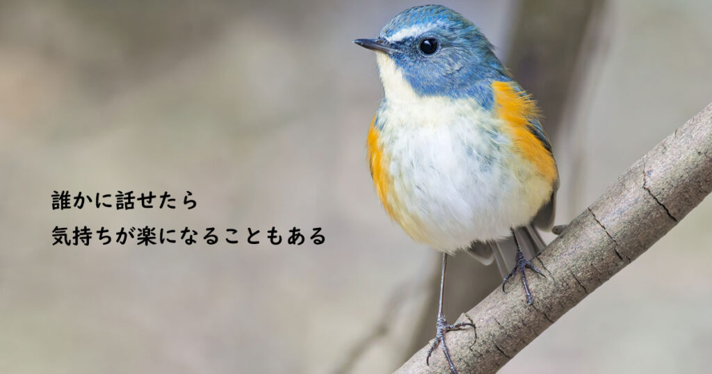 お話（放し）セッション